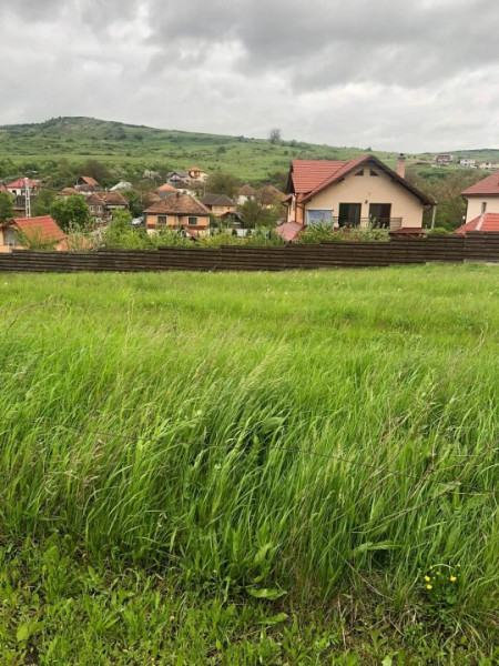 Vand teren intravilan cu autorizatie pentru casa, 15 min de Cluj!