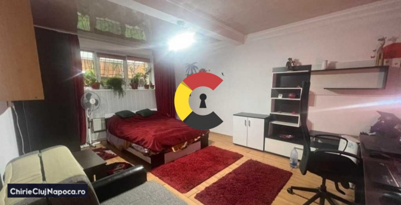 Apartament fain|1 camera|zona HOREA/Centru |Pet Friendly|terasa