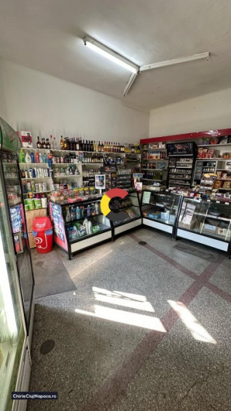 Spațiu comercial cu vad excelent zona Platinia Motilor + curte interioară 