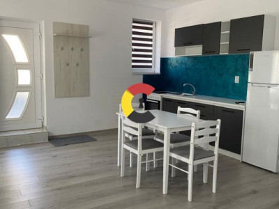 Apartament Nou in Vila Noua| parcare | living + dormitor| pet friendly