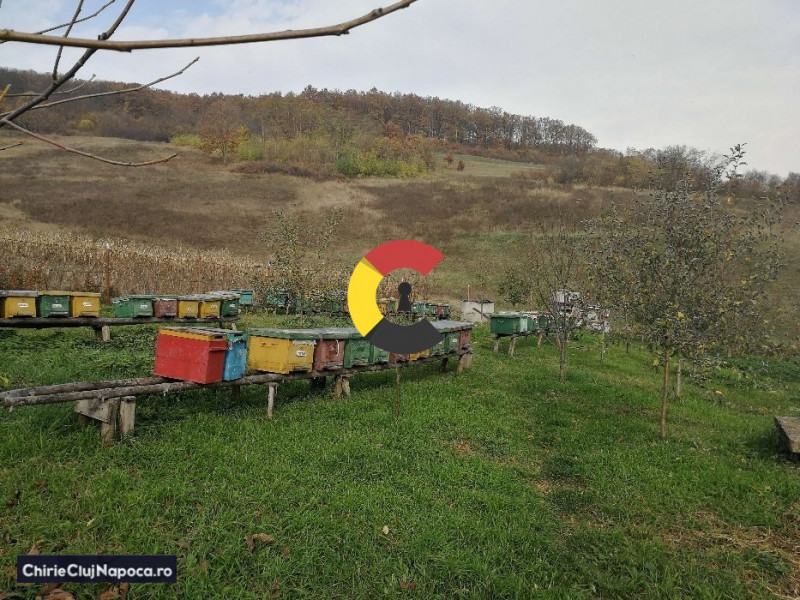 Hala mixta ideala producție/fermă + teren generos, 9 km de centru Dej