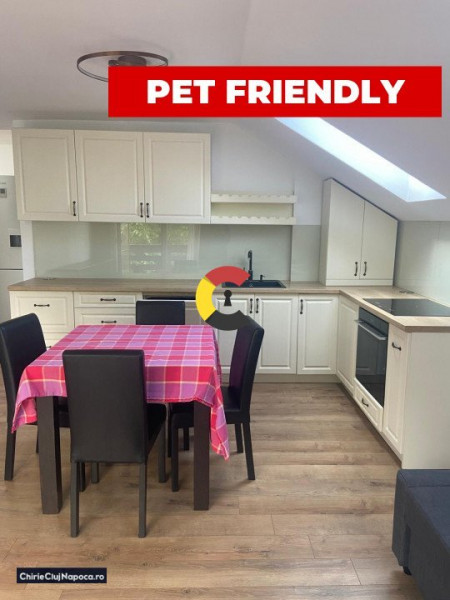 Apartament cu 3 camere la mansarda. Zona Semi-Centrală!Pet Friendly