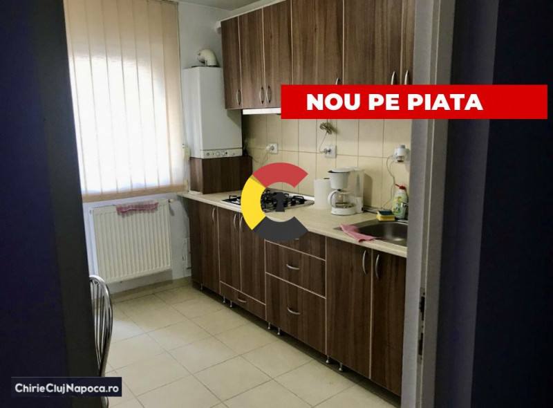 Apartament fain cu 1 camera , CALEA TURZII, zona Mol, balcon 