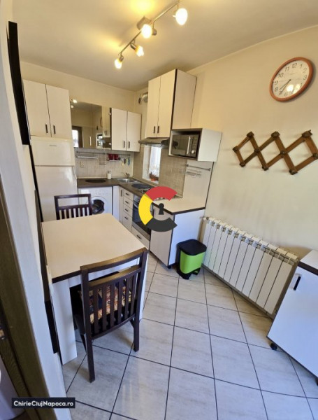 Apartament cu o camera la casa, Someseni, cu parcare