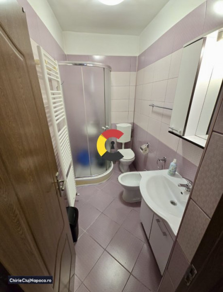 Apartament cu o camera la casa, Someseni, cu parcare