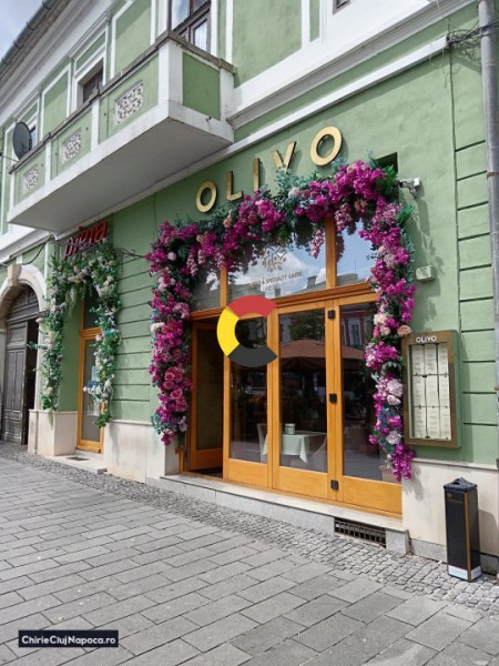 APARTAMENT FRUMOS ULTRACENTRAL - LANGA OLIVO - PIATA M. CORVIN