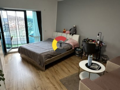 Apartament cu 1 dormitor si mini living cu bucatarie in Complex Wings