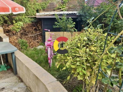 Casa individuală cu 1 camere în cartierul A. Muresanu • PET FRIENDLY
