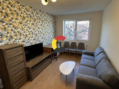 Apartament 2 dormitoare | in spate la FSEGA | recent renovat