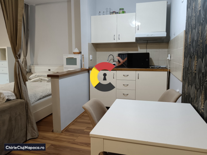 APARTAMENT SPATIOS SI LUMINOS-TIP STUDIO-Zona parcului I. Hatieganu!