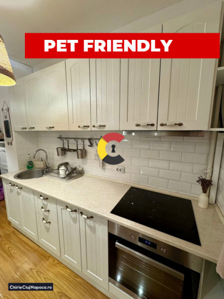 Apartament cu 2 camere, Gheorgheni, zona Iulius Mall, balcon