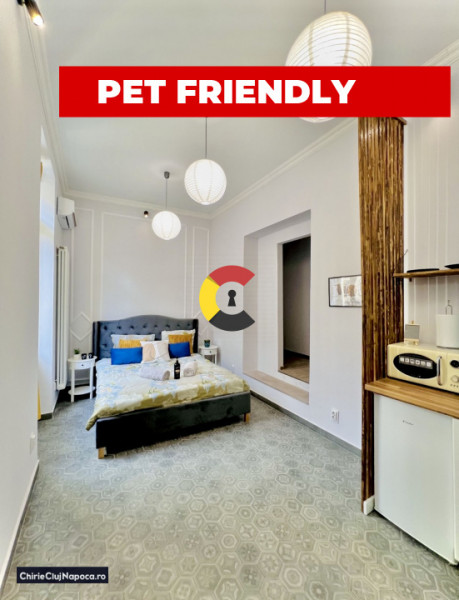 Studio, Centru, zona Piata Mihai Viteazul