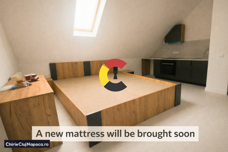 Modern apartment with 1 room, Moților street, near to UMF / USAMV