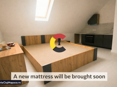 Modern apartment with 1 room, Moților street, near to UMF / USAMV