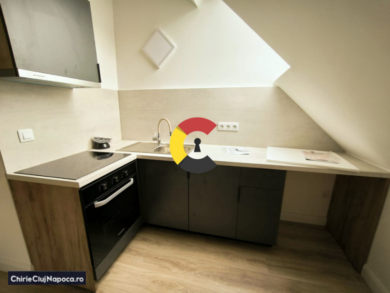 Modern apartment with 1 room, Moților street, near to UMF / USAMV