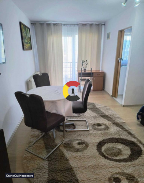 Apartament cu 1 camera, 40 mp, str Viorelelor, zona Marasti
