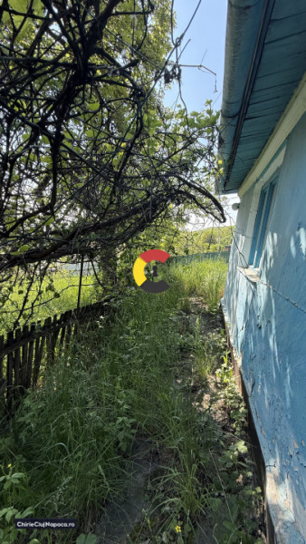Teren cu casă bătrânească, perfect pentru cabana/casa - Boju-Cojocna