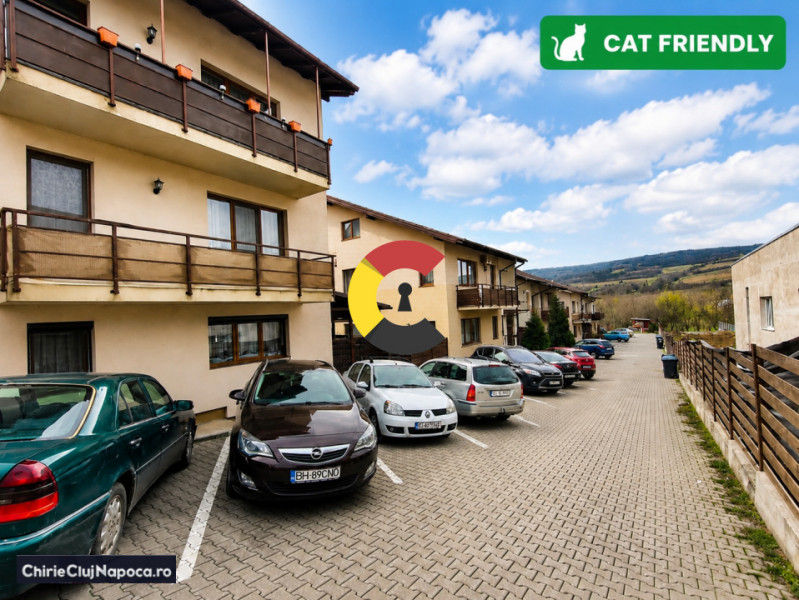 Apartament fain (living-bucatarie, dormitor) zona Auchan Iris 