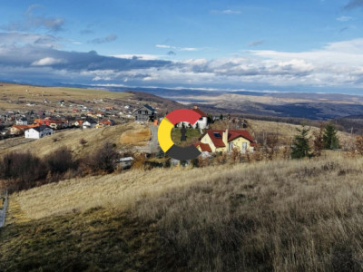 TEREN DE VÂNZARE | SĂLICEA – ZONA MĂGURA
