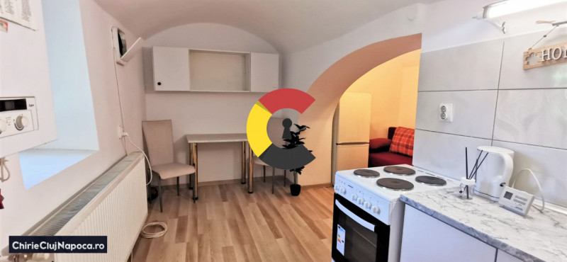 Apartament 1 camera + open space cu bucatarie, str Clinicilor, Centru