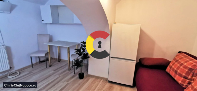 Apartament 1 camera + open space cu bucatarie, str Clinicilor, Centru