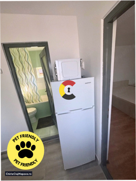 Apartament cu 1 camera + terasa, zona Garii, pet friendly